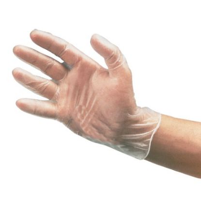 Picture of JANGRO CLEAR 4G VINYL GLOVES POWDER FREE LARGE (PACK 100)