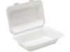 Picture of Bagasse Lunch Box 160x230x75mm (Pack Of 125) 