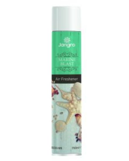 Picture of GIANT AEROSOL AIR FRESHNER MARINE BREEZE 750ml **LQ**(SINGLE)