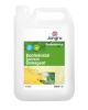 Picture of Jangro Bactericidal Lemon Detergent 5ltr