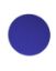 Picture of Floor Pad Blue 16" 