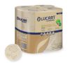 Picture of Eco Natural 250sht Conventional 2ply Toilet Roll Recycled (Case of 64)