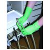 Picture of Aloe Vera Vinyl Exam Gloves Powder Free Green Small (100)
