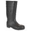 Picture of Total Safety Wellington S5 Black Size 9