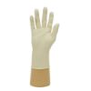 Picture of Jangro Professional Latex Natural Gloves Powder Free XLarge (Pack Of 100)