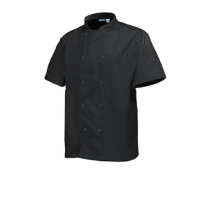 Picture of Basic Stud Jacket (Short Sleeve) Black L Size