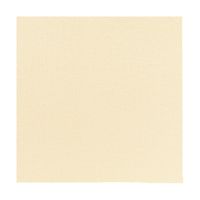 Dunilin Luxury Paper Cream Napkin 40x40cm (12x50)