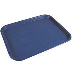 Blue Food Tray 16"x12"