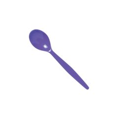 Purple Polycarbonate Teaspoon (12)