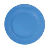 Blue Polycarbonate Dinner Plate 9.5"