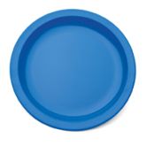 Blue Polycarb Narrow Rimmed Plate 9" (12)